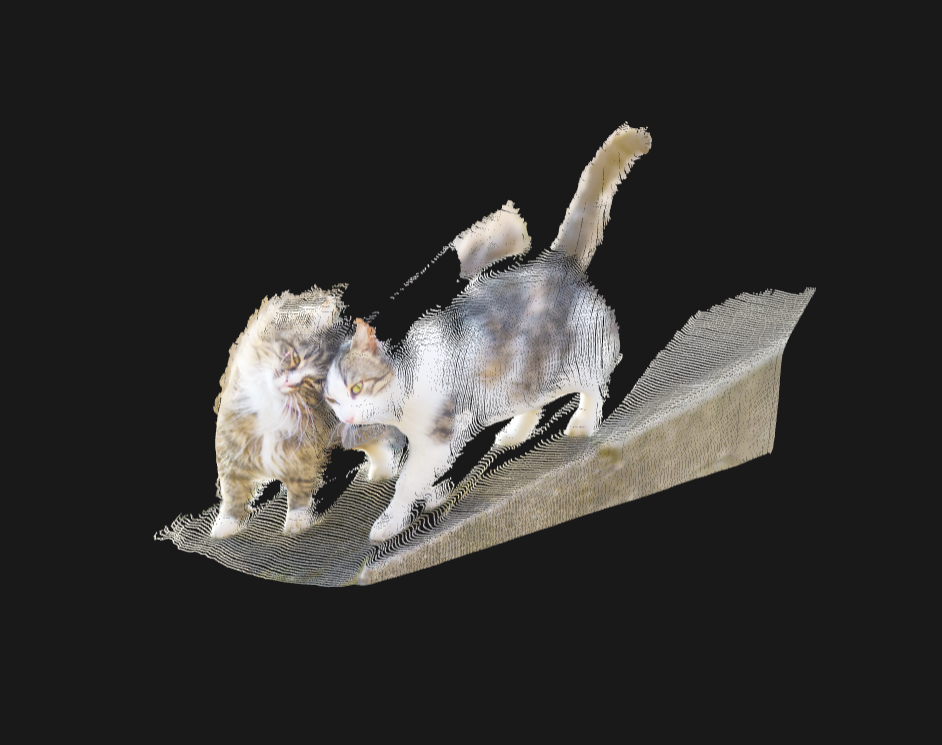 VGGT 重建出的 3D 模型 — 貓